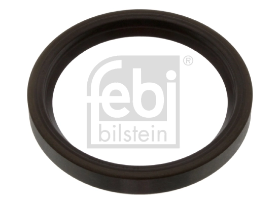 Shaft Seal, differential